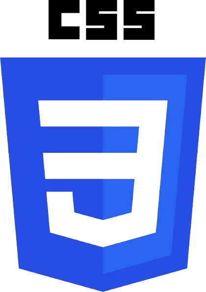 CSS Logo